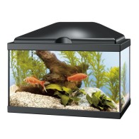 Aqua 20 Led Black Aquarium