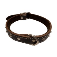 Collar Decorativo para Perros Marrón
