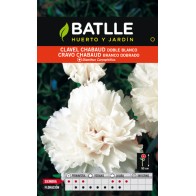 Semillas de Clavel Chabaud Blanco para Cultivar