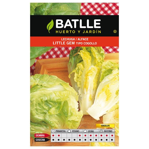 Little Gem Lettuce for Culinary Use