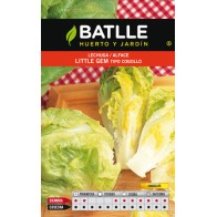 Little Gem Lettuce for Culinary Use