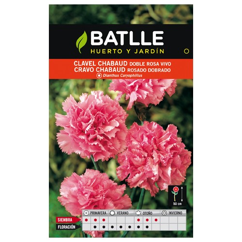Chabaud Carnation Pink
