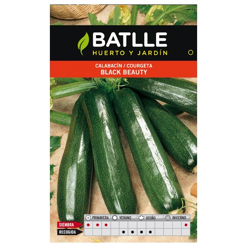 Black Beauty Zucchini Seeds for Garden