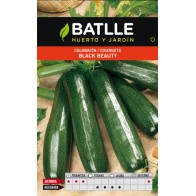 Black Beauty Zucchini Seeds for Garden