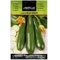 Black Beauty Zucchini Seeds for Garden