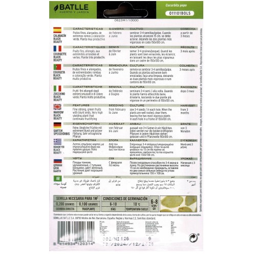 Black Beauty Zucchini Seeds for Garden
