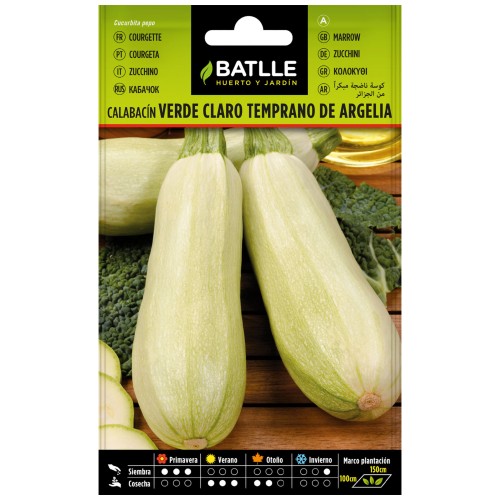 Calabacín Temprano Argelia Hortaliza Premium