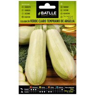 Calabacín Temprano Argelia Hortaliza Premium