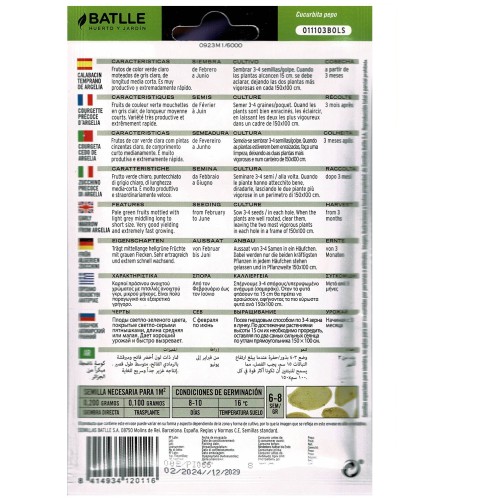 Early Zucchini Argelia Premium Vegetable