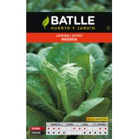 Inverna Lettuce S. Super Inverna