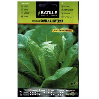 Inverna Lettuce S. Super Inverna