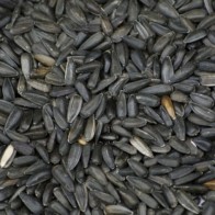 Pipas Negras 2,5kg Calidad Premium