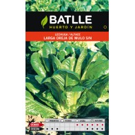 Long Leaf Mule Ear Lettuce