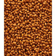 Alimento Nutribird G14 para Loros 10 Kg