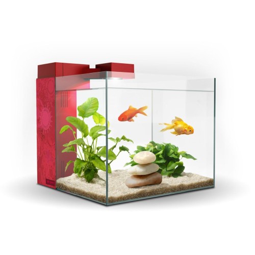 Acuario Zeneo 30 Jungle Elegante