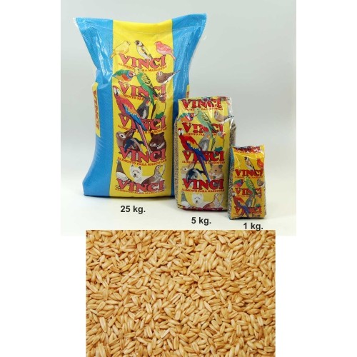 Avena Pelada Vinci 1 Kg.