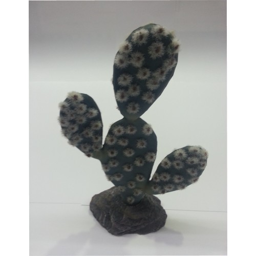 Cactus Sahara 19cm
