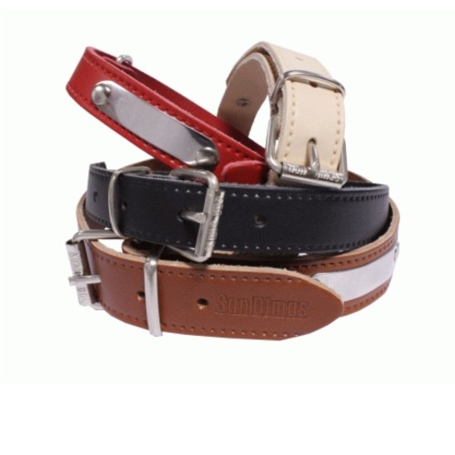 Collar De Cuero Con Placa Duradero