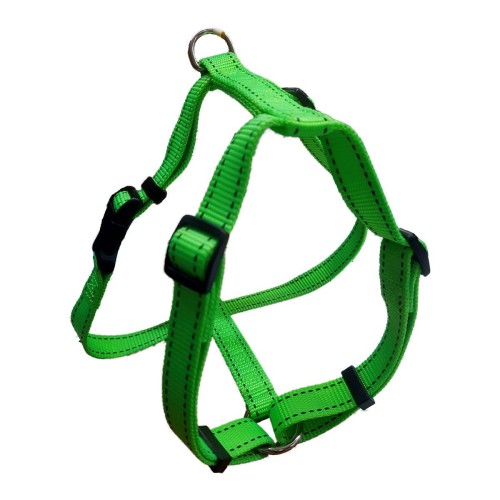 Arnés Neon Verde 20x500mm