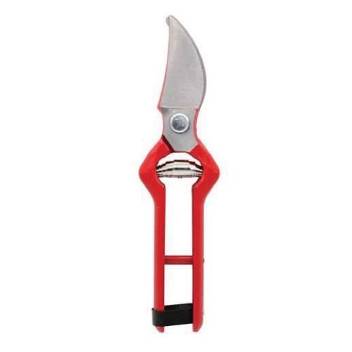 High Quality Forged Steel Scissors