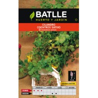 Coriander Herb Coriandrum Sativum