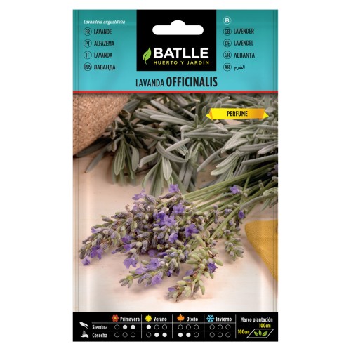 Lavanda Oficinalis para Uso Culinario