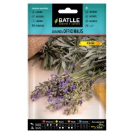 Lavender Oficinalis Plant for Culinary Use