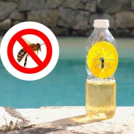 Trampa Anti Avispas Estuche 4 Uds.