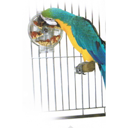 Interactive Wheel Toy for Sun Parrots