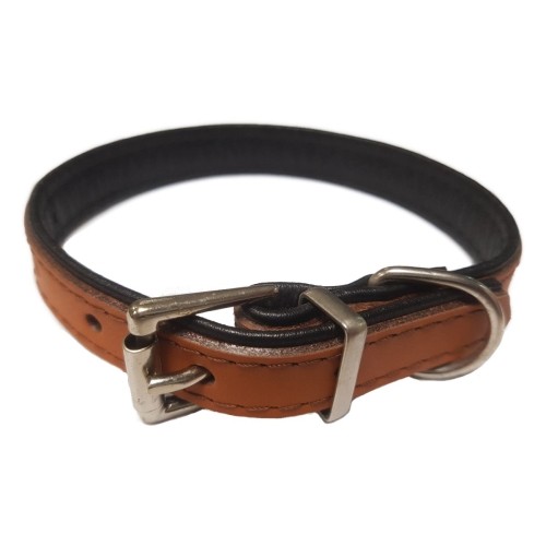 Collar de Cuero Premier Naranja 20x400