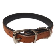 Collar de Cuero Premier Naranja 20x400