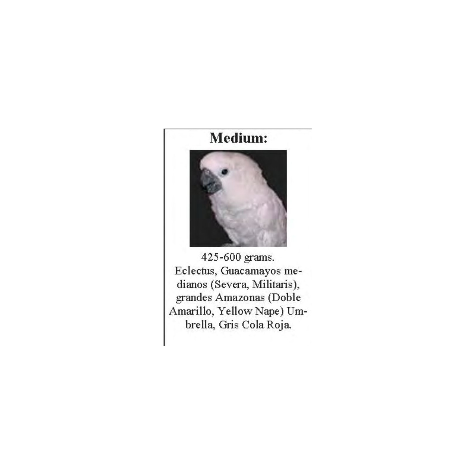 Sun Parrots Medium Harness for Parrots