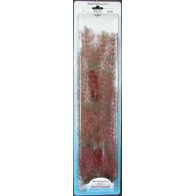 Aquatic Foxtail Plant 28-33cm