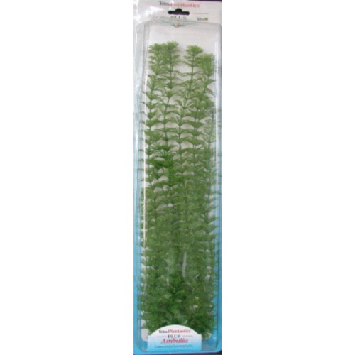 Ambulia Plus Plant 46cm