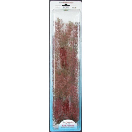 Foxtail Plant Plus 46cm