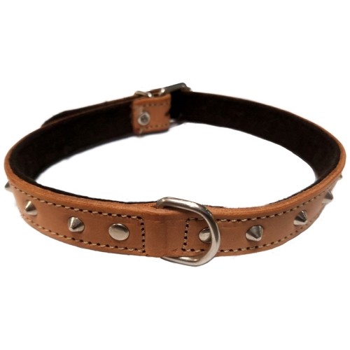 Collar Decorativo Natural 20x450mm