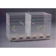 B-3 Breeding Cage with Two Compartments and Individual Feeders