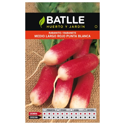 Medium Long Red Radish White Tip Package