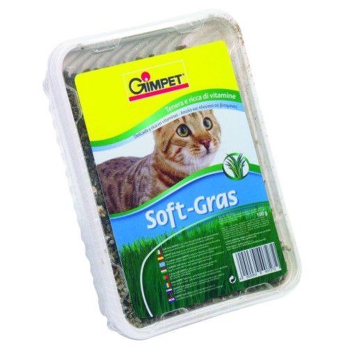 Hierba Gato Vitaminada 100g Gimpet