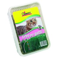 Hierba Gato Vitaminada 100g Gimpet