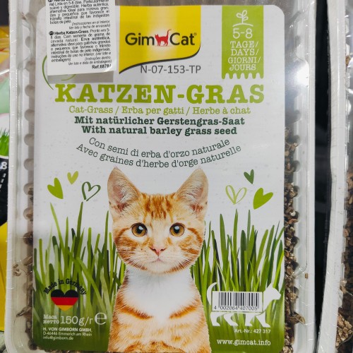 Hierba Gato Vitaminada 100g Gimpet