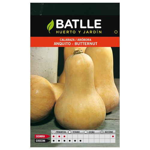 Calabaza Anquito-Butternut Sobre