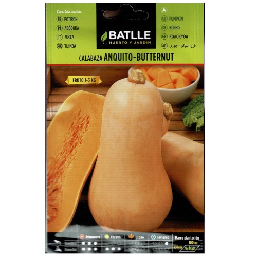 Calabaza Anquito-Butternut Sobre