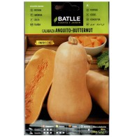 Calabaza Anquito-Butternut Sobre