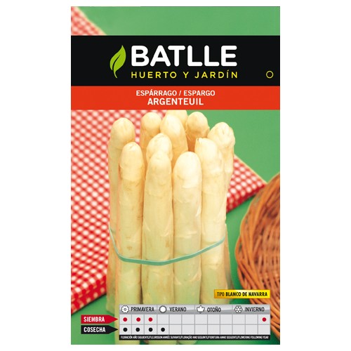 Argenteuil White Asparagus Seeds for Gardening
