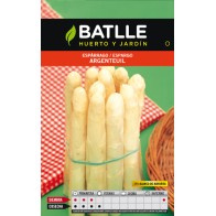 Argenteuil White Asparagus Seeds for Gardening