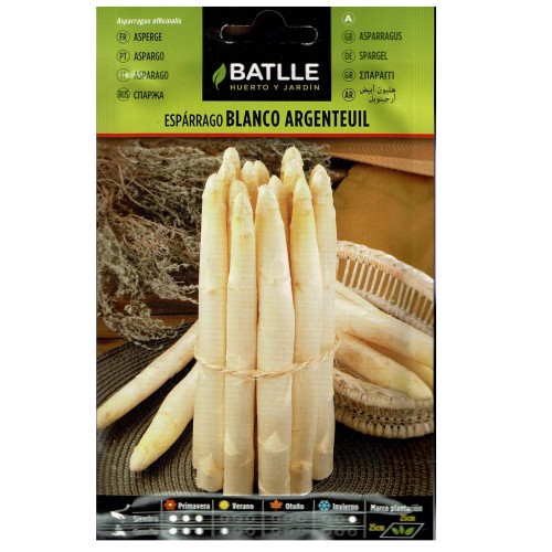Argenteuil White Asparagus Seeds for Gardening