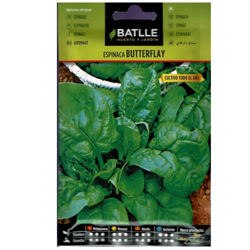 Butterfly Spinach Seeds - Nutritious and Easy to Grow