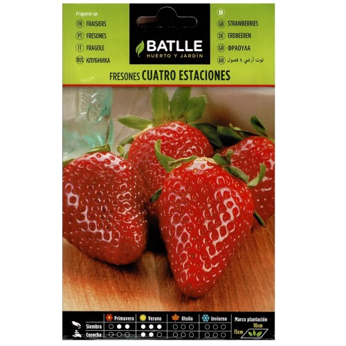 Four Seasons Strawberries Seed Pack