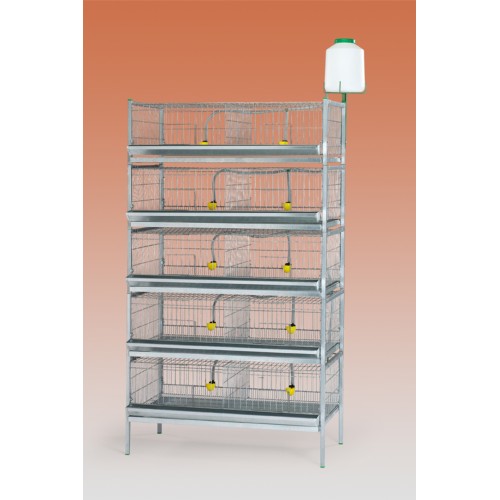 Exhibition Battery with 2 Baskets for Birds